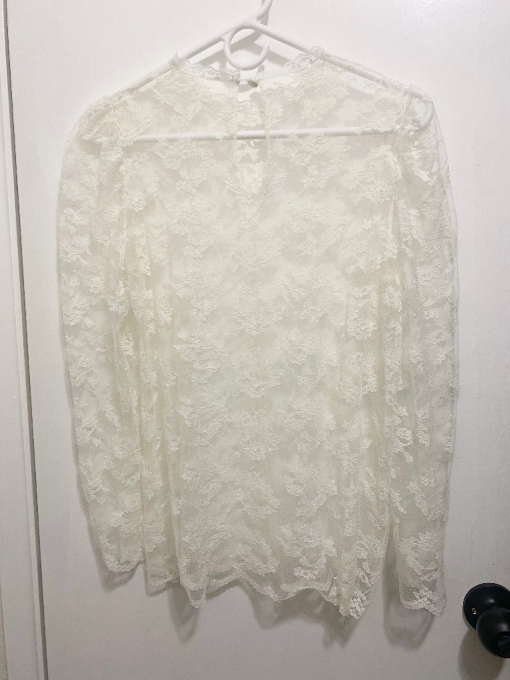 Sheer Size M  Laced and Embroidered  Long Sleeves Top